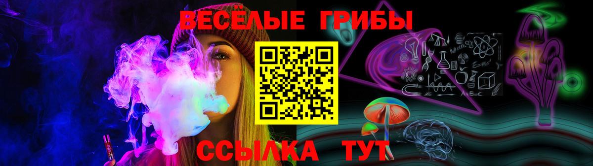 Галлюциногенные грибы MAGIC MUSHROOMS  Вход с VPN  Владимир 