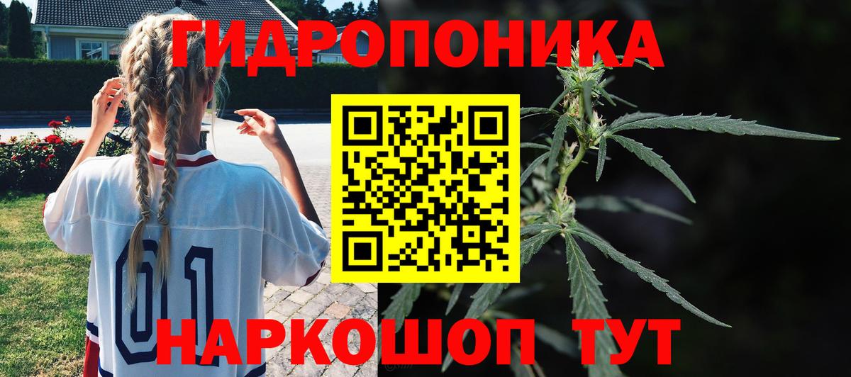 Конопля Ganja  Вход с VPN  Шишки марихуана THC 21%  Владимир  Бошки марихуана марихуана 