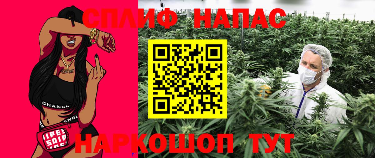 Бошки марихуана THC 21% Владимир